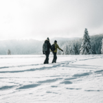 Winter Wisdom:  Navigating the Chill with a Bookkeeper by Your Side